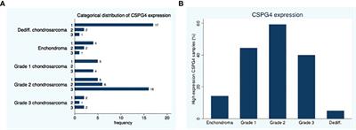 Chondroitin sulfate proteoglycan 4 expression in chondrosarcoma: A potential target for antibody-based immunotherapy